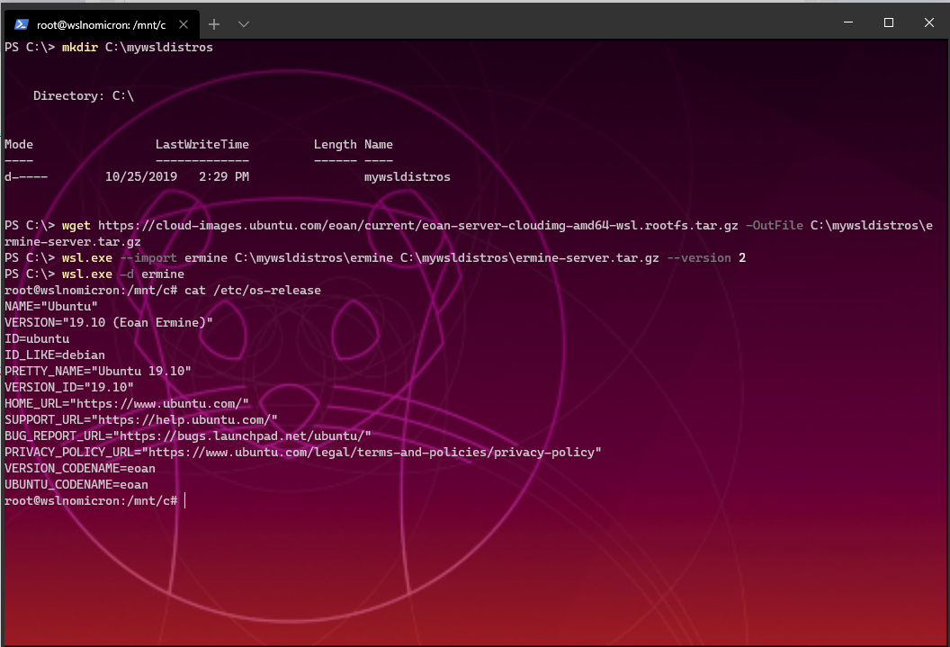 Adding a new WSL2 Ubuntu 19.10 distro