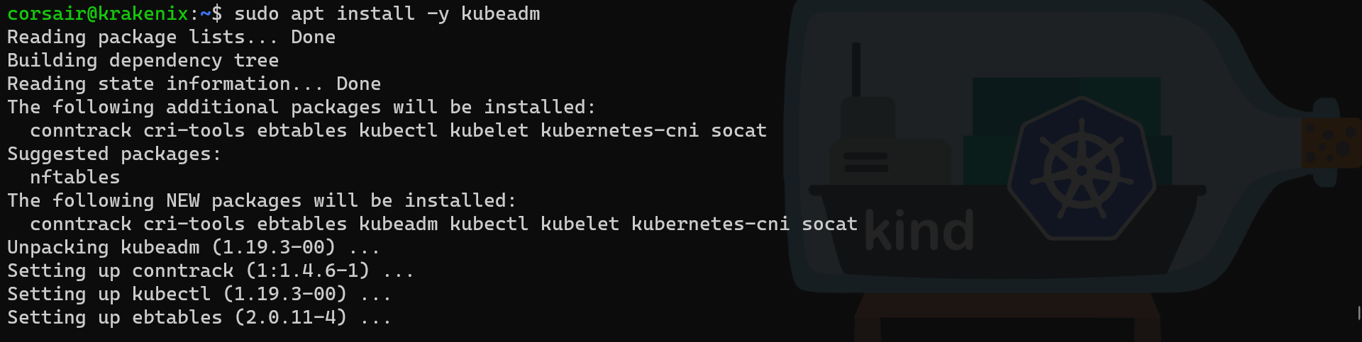 WSL2 kubeadm install